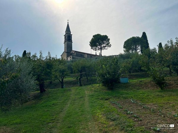 terreno agricolo in vendita a Castegnero