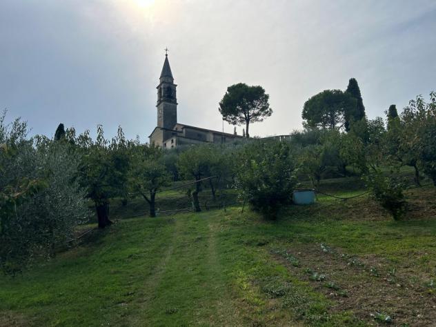 terreno agricolo in vendita a Castegnero