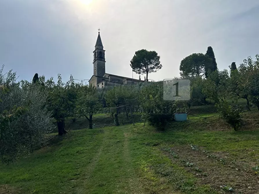 terreno agricolo in vendita a Castegnero