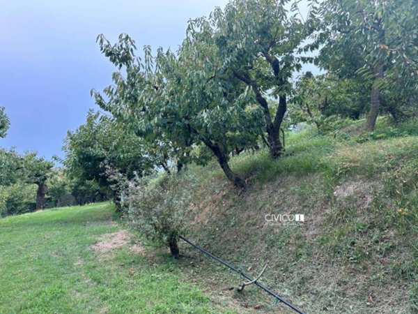 terreno agricolo in vendita a Castegnero
