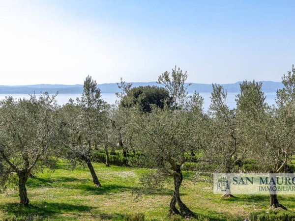 terreno agricolo in vendita a Castegnero in zona Castegnero