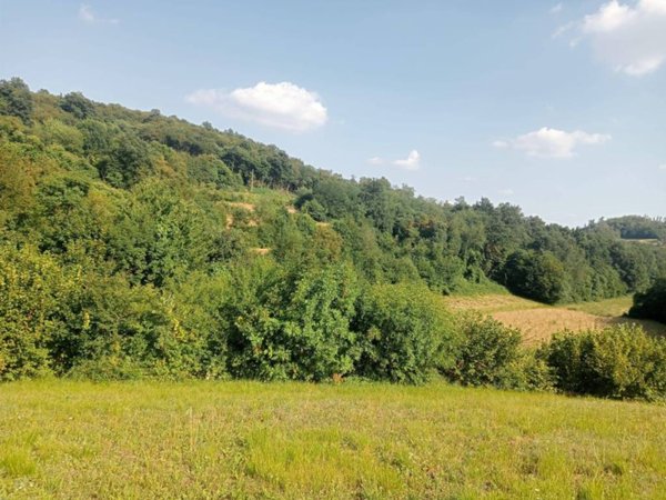 terreno agricolo in vendita a Castegnero