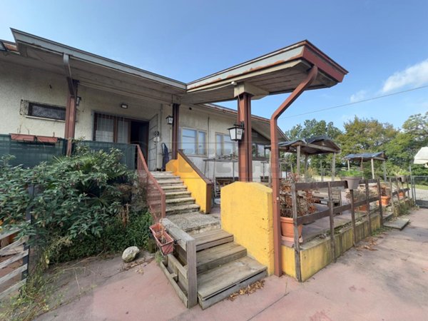 immagine annuncio 0 di 15