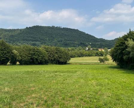 terreno agricolo in vendita a Castelgomberto