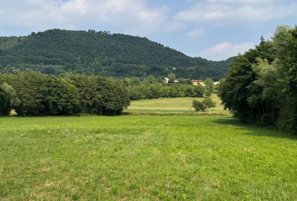 terreno agricolo in vendita a Castelgomberto
