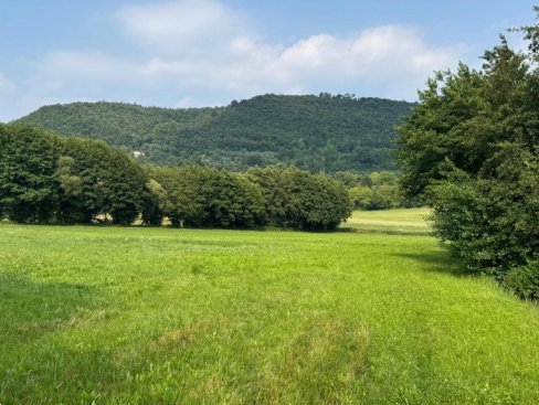 terreno agricolo in vendita a Castelgomberto