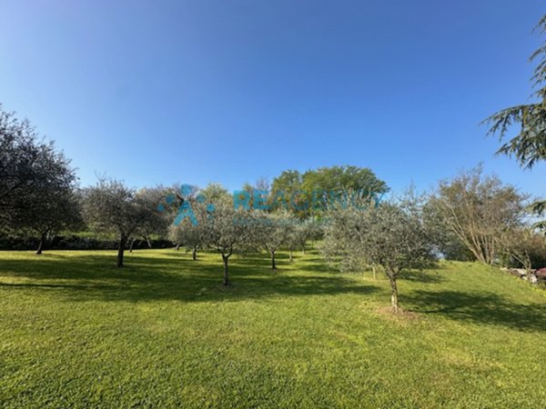 casa indipendente in vendita a Castelgomberto