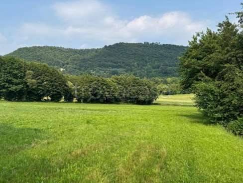 terreno agricolo in vendita a Castelgomberto