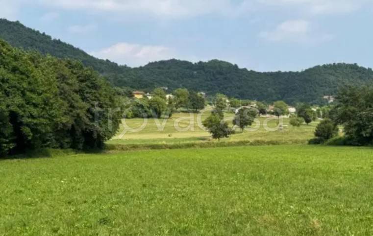 terreno agricolo in vendita a Castelgomberto