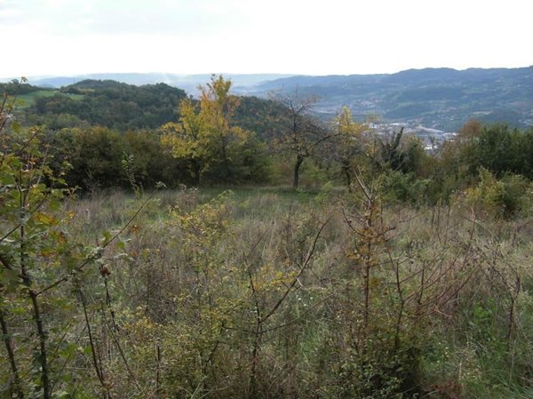 terreno agricolo in vendita a Chiampo