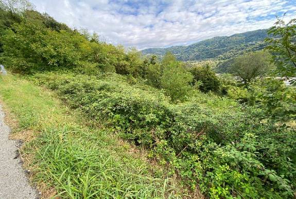 terreno edificabile in vendita a Chiampo