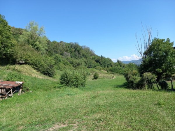 terreno agricolo in vendita a Chiampo