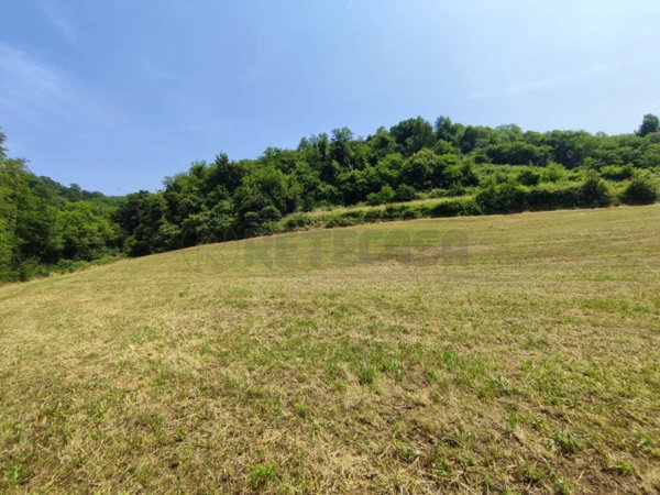 terreno agricolo in vendita a Chiampo