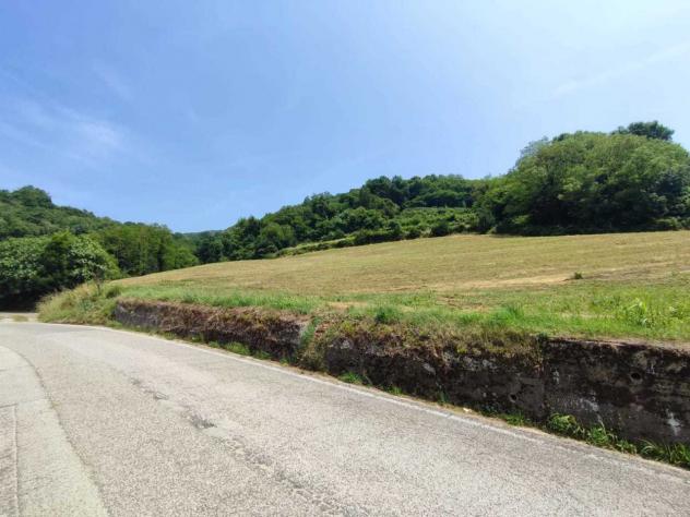 terreno agricolo in vendita a Chiampo