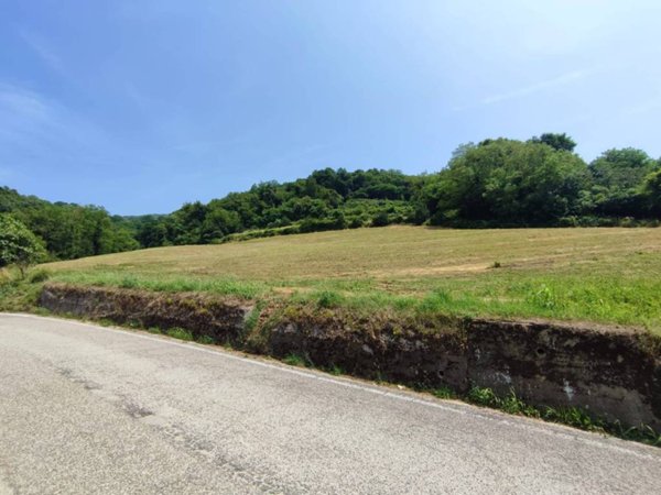 terreno agricolo in vendita a Chiampo