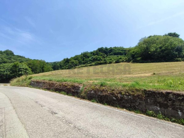 terreno agricolo in vendita a Chiampo