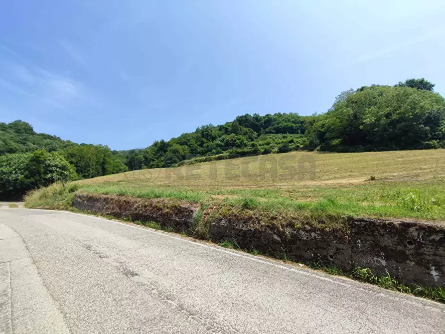 terreno agricolo in vendita a Chiampo