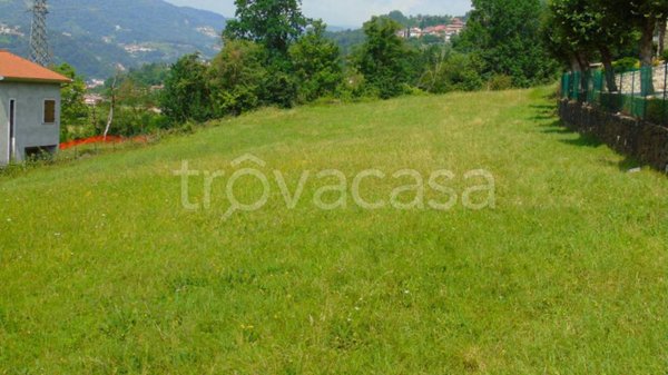 terreno agricolo in vendita a Chiampo
