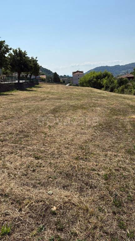 terreno agricolo in vendita a Chiampo