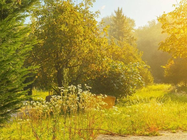 appartamento in vendita a Chiampo