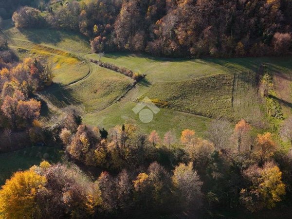 terreno agricolo in vendita a Chiampo