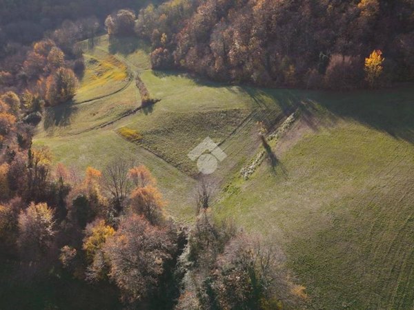 terreno agricolo in vendita a Chiampo in zona Arso