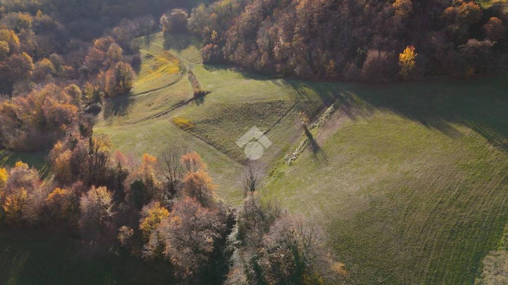 terreno agricolo in vendita a Chiampo in zona Arso