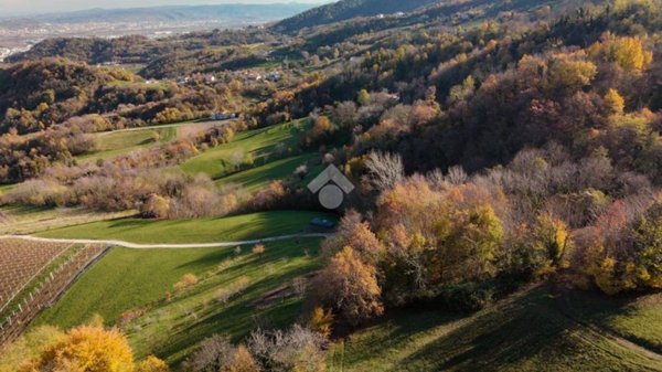 terreno agricolo in vendita a Chiampo in zona Arso