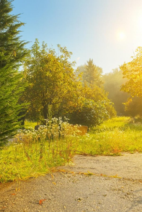 appartamento in vendita a Chiampo