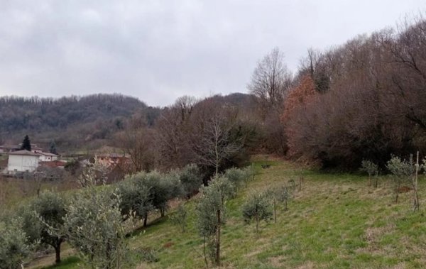 terreno agricolo in vendita a Chiampo