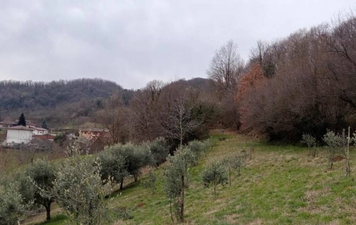 terreno in vendita a Chiampo
