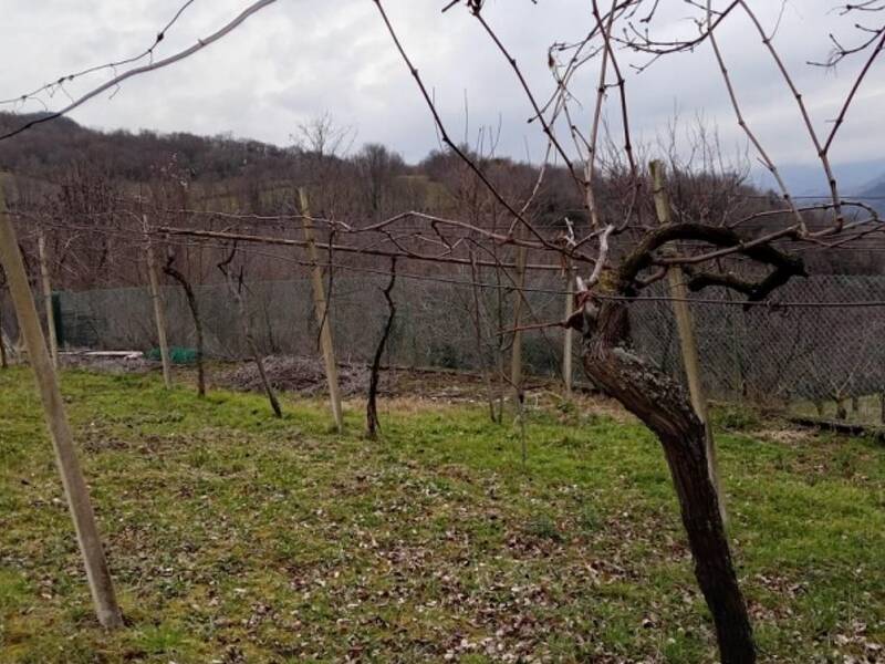 terreno agricolo in vendita a Chiampo