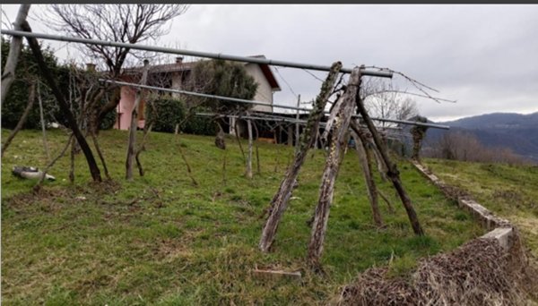 terreno agricolo in vendita a Chiampo