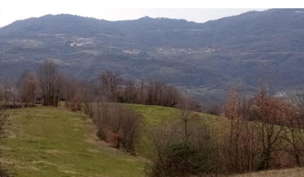 terreno agricolo in vendita a Chiampo