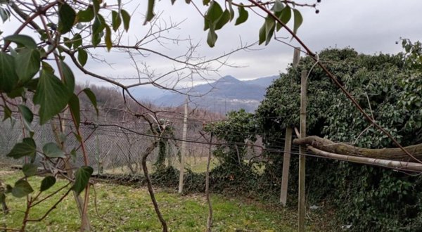 terreno agricolo in vendita a Chiampo in zona Arso
