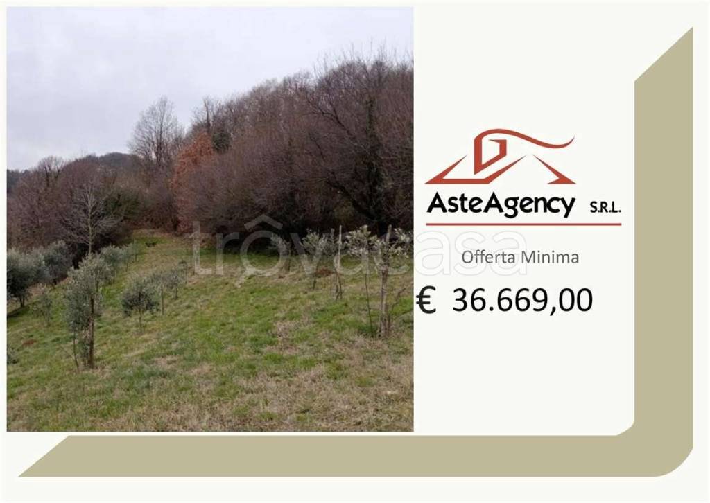 terreno agricolo in vendita a Chiampo