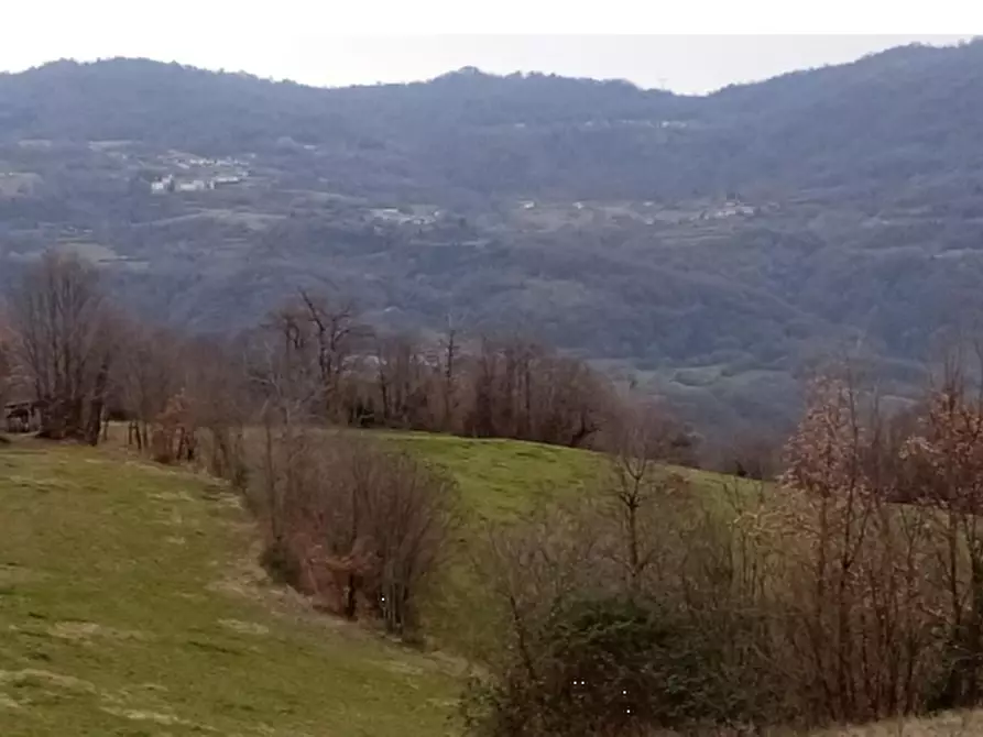 terreno agricolo in vendita a Chiampo