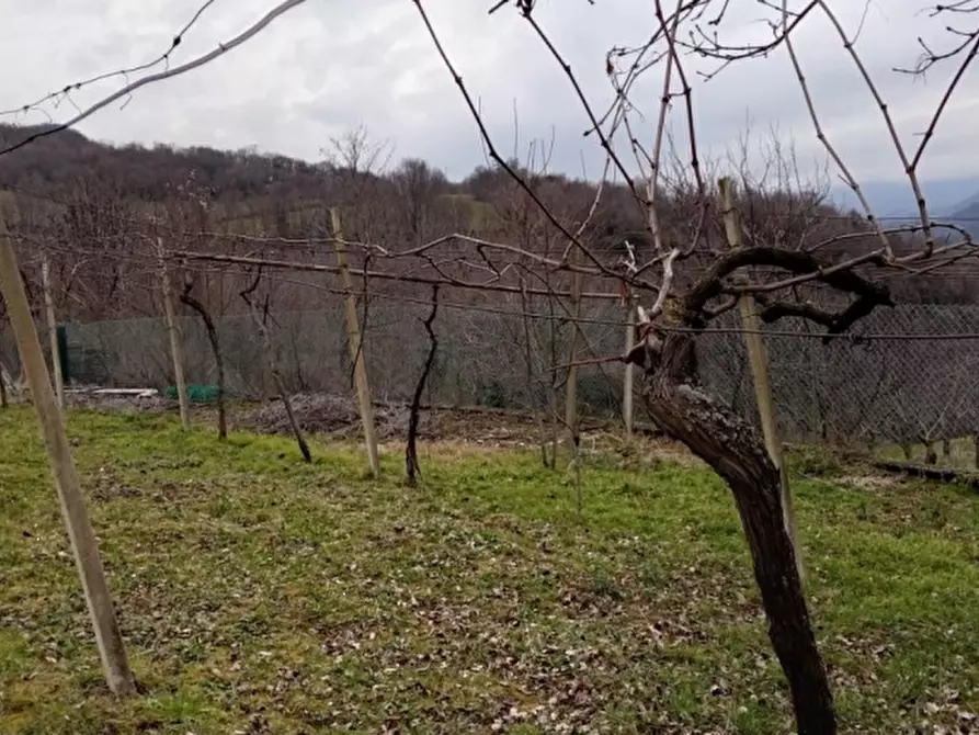 terreno agricolo in vendita a Chiampo