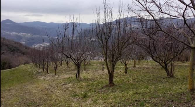 terreno in vendita a Chiampo