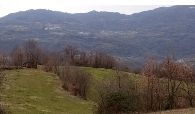 terreno in vendita a Chiampo