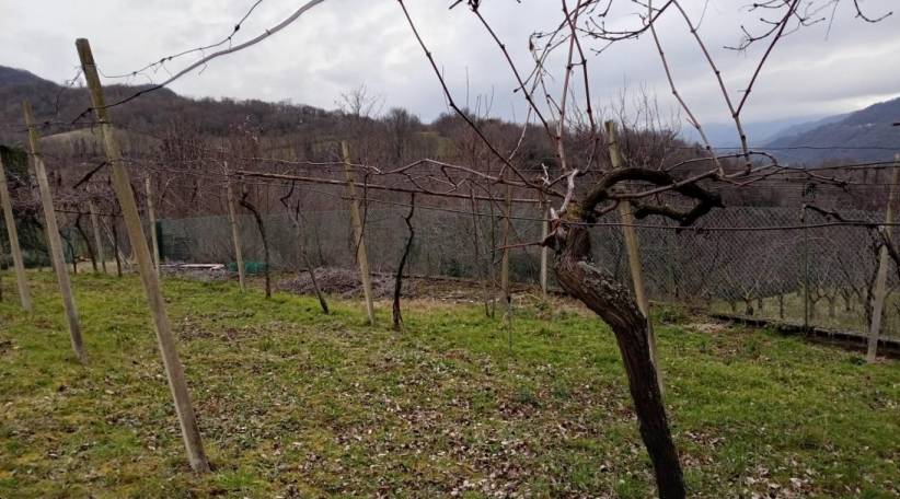 terreno in vendita a Chiampo