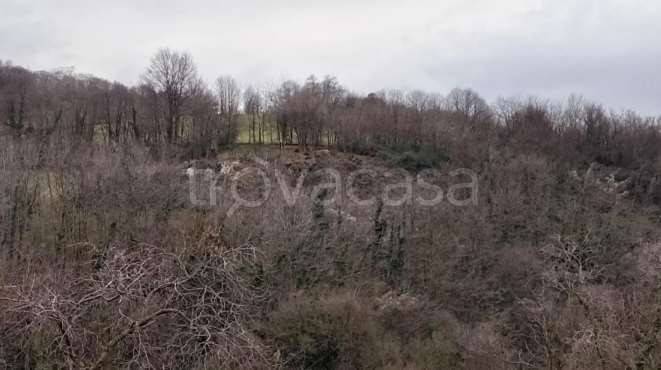 appartamento in vendita a Chiampo