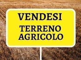 terreno agricolo in vendita a Chiuppano