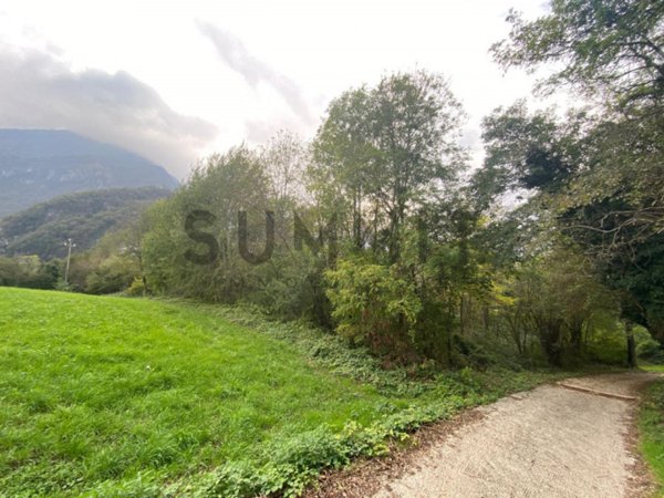 terreno agricolo in vendita a Cogollo del Cengio