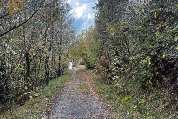 terreno edificabile in vendita a Cogollo del Cengio