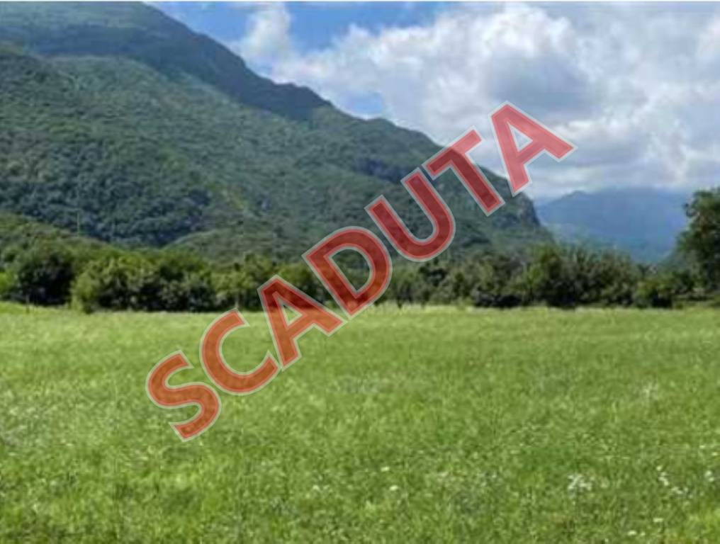 terreno agricolo in vendita a Cogollo del Cengio