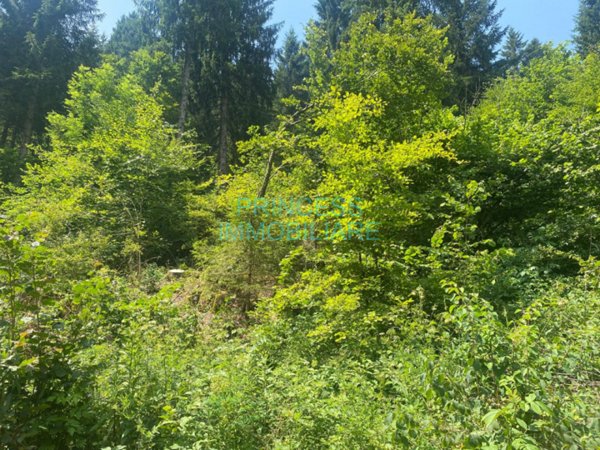 terreno edificabile in vendita a Cogollo del Cengio in zona Casale