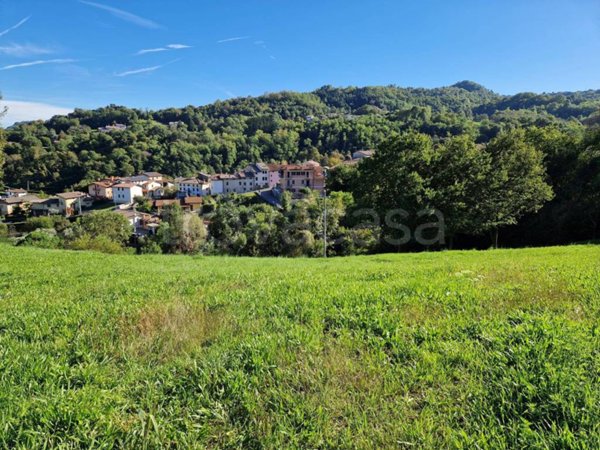 terreno agricolo in vendita a Cornedo Vicentino