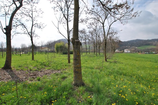 terreno agricolo in vendita a Cornedo Vicentino