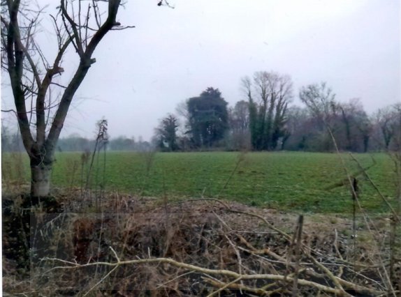 negozio in vendita a Dueville